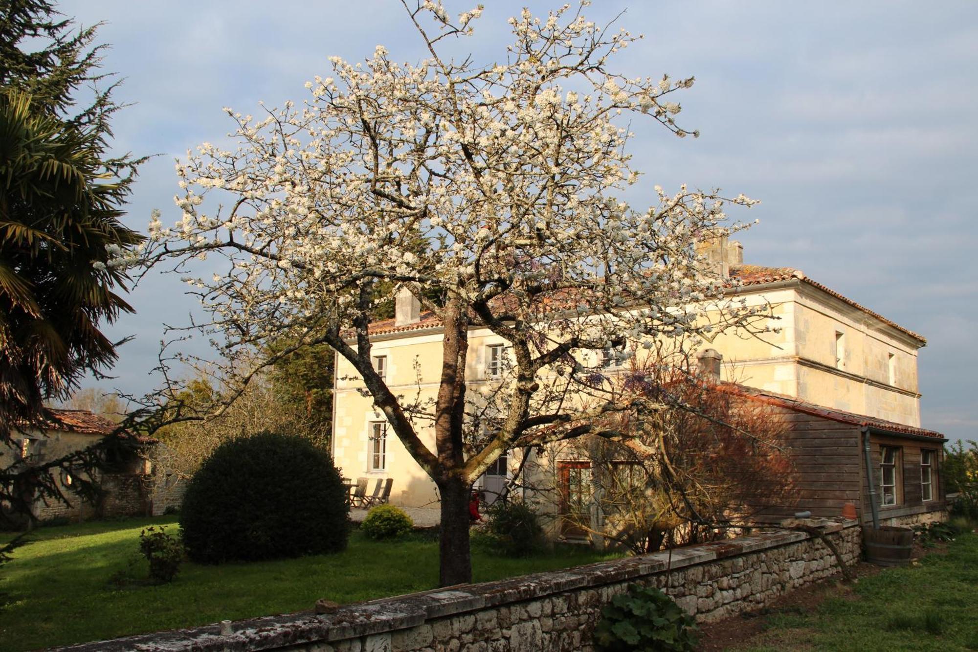 Hotel Domaine TerrOcéane à La-Gripperie-Saint-Symphorien Extérieur photo